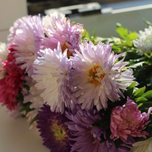 produit maison des fleurs, brassé de dahlias bouquet multicoleur